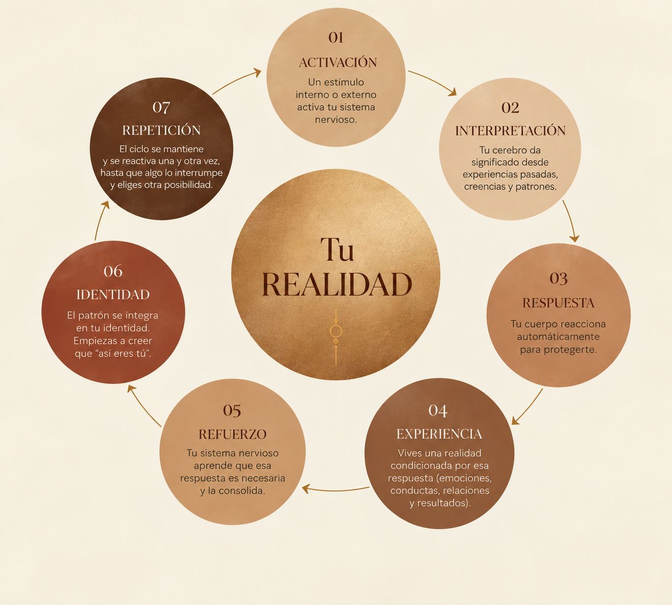Ciclo de supervivencia